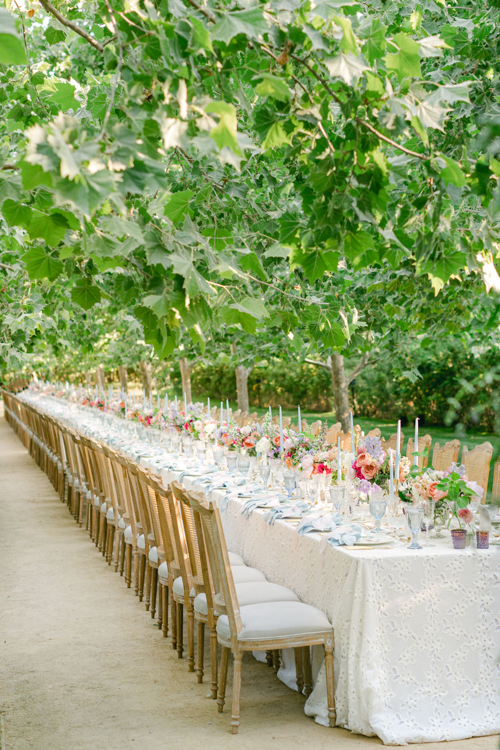 One endless dinner table beneath the sycamore canopy at Kestrel Park