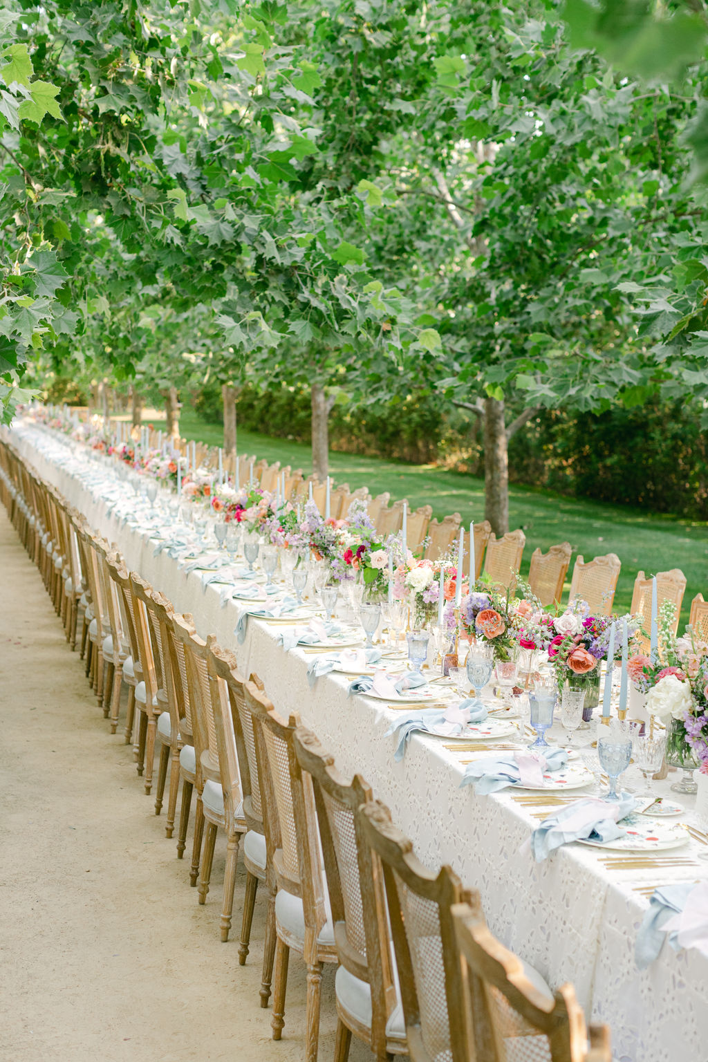 The full length of the single dinner table in the sycamore allee